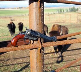 Wheelgun Wednesday: The Bird Is The Word – A Look At Bird's Head Grips