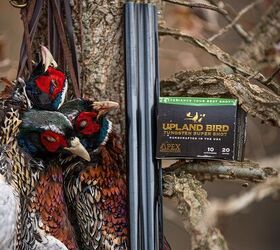 APEX Ammunition Upland Bird TSS Loads Now Available