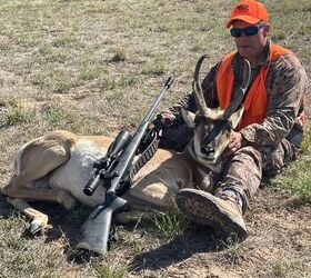 Bill's bull antelope, taken at 733 yards.