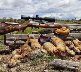 The Rimfire Report: My Predictions for Rimfire in 2022