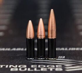 the rimfire report my predictions for rimfire in 2022