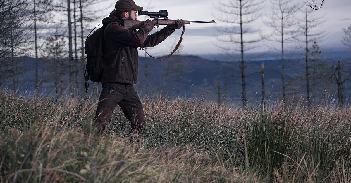 www.thefirearmblog.com