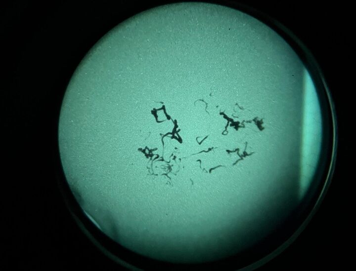 сонячна пляма