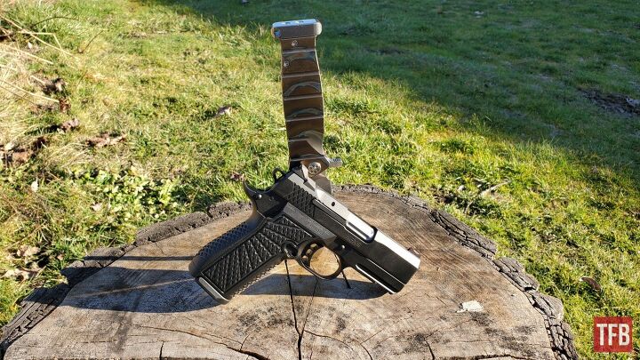 SFX9 enjoying the sun