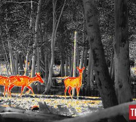 tfb review infiray tube th50 thermal imaging riflescope
