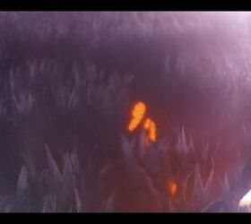 night vision or thermal? why not both.