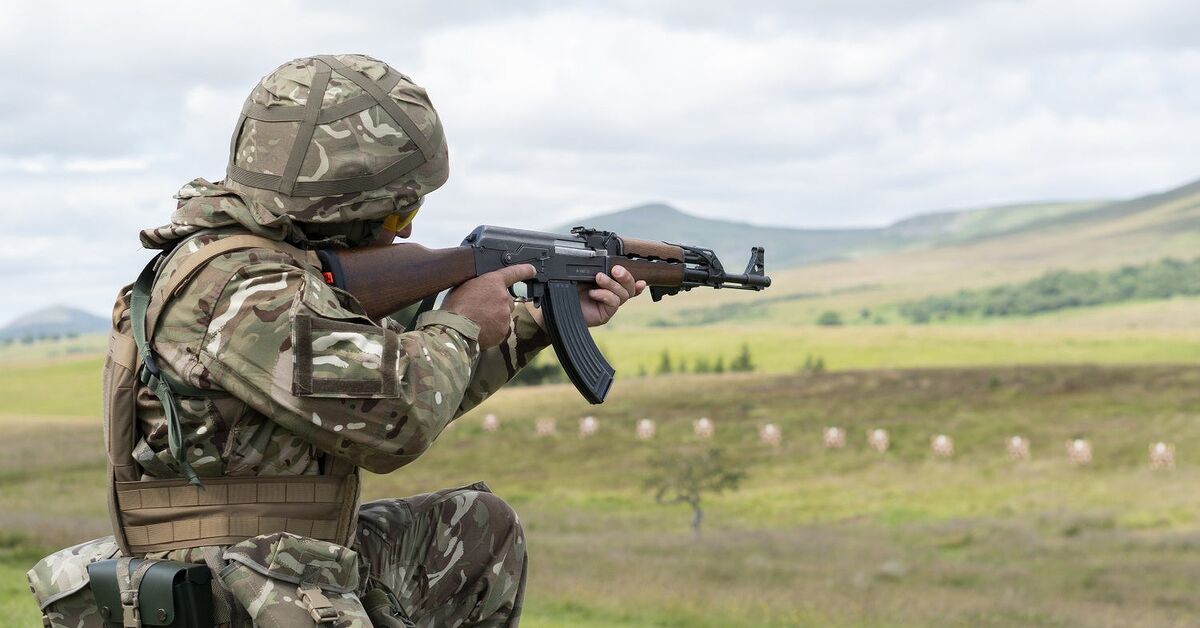 www.thefirearmblog.com