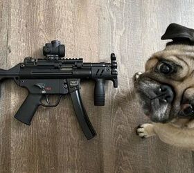 POTD: Heckler & Koch SP5K – P for Pug