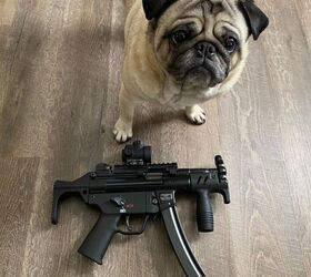 Pug Gun Preowned, Excellent Condition, Charter Arms Mag Pug Revolver,
