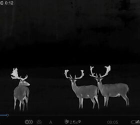 tfb review pulsar talion xq38 budget thermal riflescope