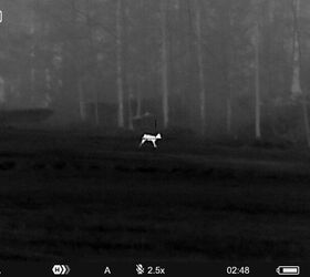 tfb review pulsar talion xq38 budget thermal riflescope