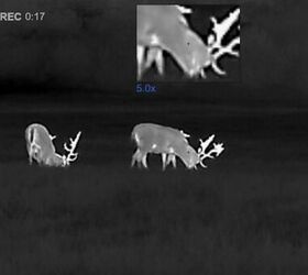 tfb review pulsar talion xq38 budget thermal riflescope