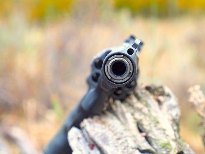 Smith And Wesson Trr8 Problems