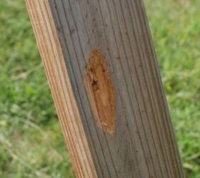 TFB REVIEW: THROOM Targets - Affordable Ricochet-Free Reactive Targets