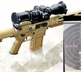 Precision Rifle Series: Gas Gun vs Bolt Action – Which is better?