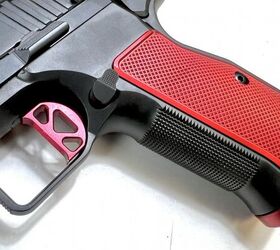 tfb review dan wesson dwx 2011