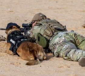 POTD: The K9 Sniper – Do NOT Pet!