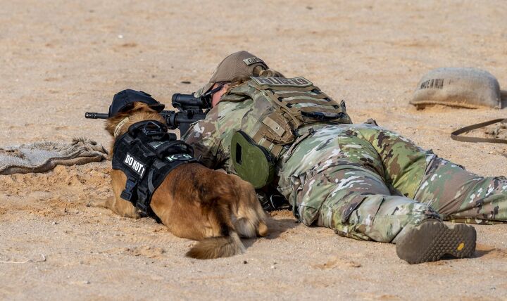K9 Raptors POTD: The K9 Sniper – Do NOT Pet! | thefirearmblog.com