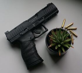 The Rimfire Report: Comparing 22LR and 22WMR