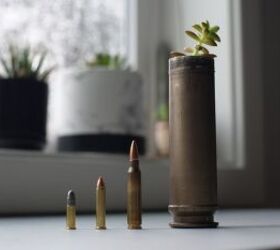 The Rimfire Report: Comparing 22LR and 22WMR