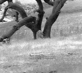 friday night lights thermal camo 2 0 testing resumed