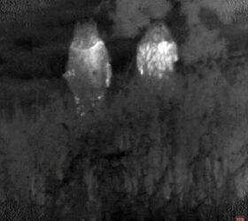 friday night lights thermal camo 2 0 testing resumed