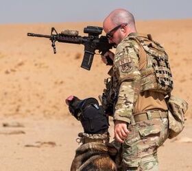 POTD: K9 Military Working Dog At Prince Sultan Air Base