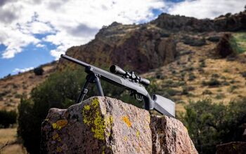 Springfield 2020 Rimfire Tan The Rimfire Report: A First Look At Springfield's New 2020 Rimfire ...