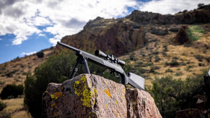 Meet the New Model 2020 Rimfire Rifles from Springfield Armory ...