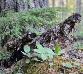 The Rimfire Report: The B14R SOLUS - An Unholy Combination of Parts