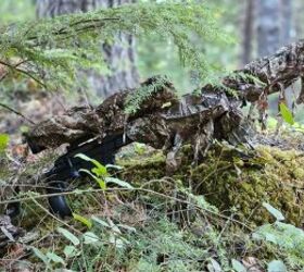 The Rimfire Report: The B14R SOLUS - An Unholy Combination of Parts