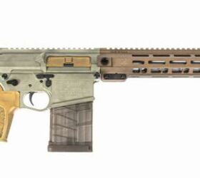 NEW Palmetto State Armory Sabre-10A1 | thefirearmblog.com