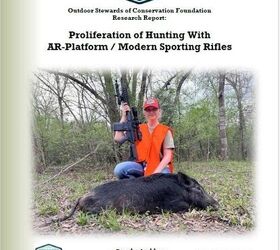How Popular is the AR-15 When it Comes to Hunting?