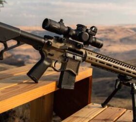 how popular is the ar 15 when it comes to hunting