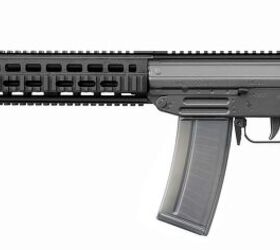 POTD FAMAE SG 543-1M (3)