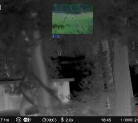 tfb review pulsar thermion duo dxp50 daytime thermal riflescope