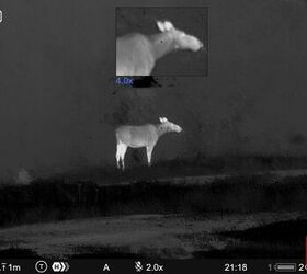 tfb review pulsar thermion duo dxp50 daytime thermal riflescope