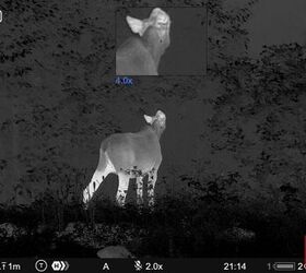 tfb review pulsar thermion duo dxp50 daytime thermal riflescope