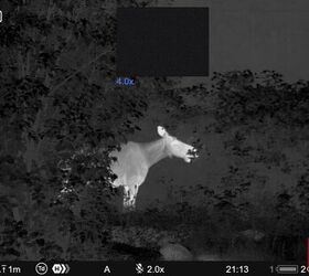 tfb review pulsar thermion duo dxp50 daytime thermal riflescope