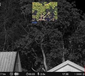 tfb review pulsar thermion duo dxp50 daytime thermal riflescope