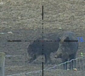 tfb review pulsar thermion duo dxp50 daytime thermal riflescope