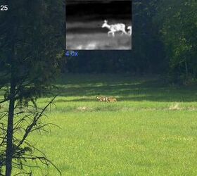 tfb review pulsar thermion duo dxp50 daytime thermal riflescope