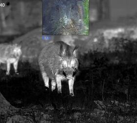tfb review pulsar thermion duo dxp50 daytime thermal riflescope