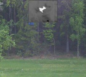 With a normal day optic or the DUO's 4K daytime channel, it wasn't possible to spot this roe deer walking in the forest. But you cannot hide from the thermal.