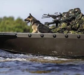 POTD: Swedish Naval Counter-SOF Unit with K9