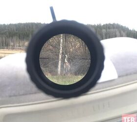 tfb review schmidt bender 5 4556 pmii high power riflescope