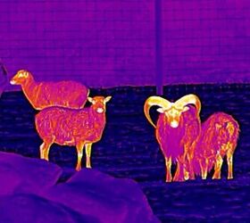 Infiray Outdoor's Tube TS60 Thermal Scope