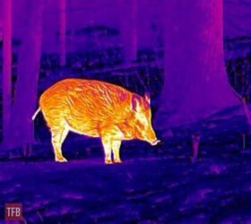 tfb review infiray outdoor s tube ts60 thermal scope hd thermal