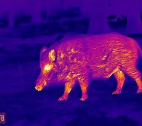 tfb review infiray outdoor s tube ts60 thermal scope hd thermal