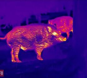 tfb review infiray outdoor s tube ts60 thermal scope hd thermal